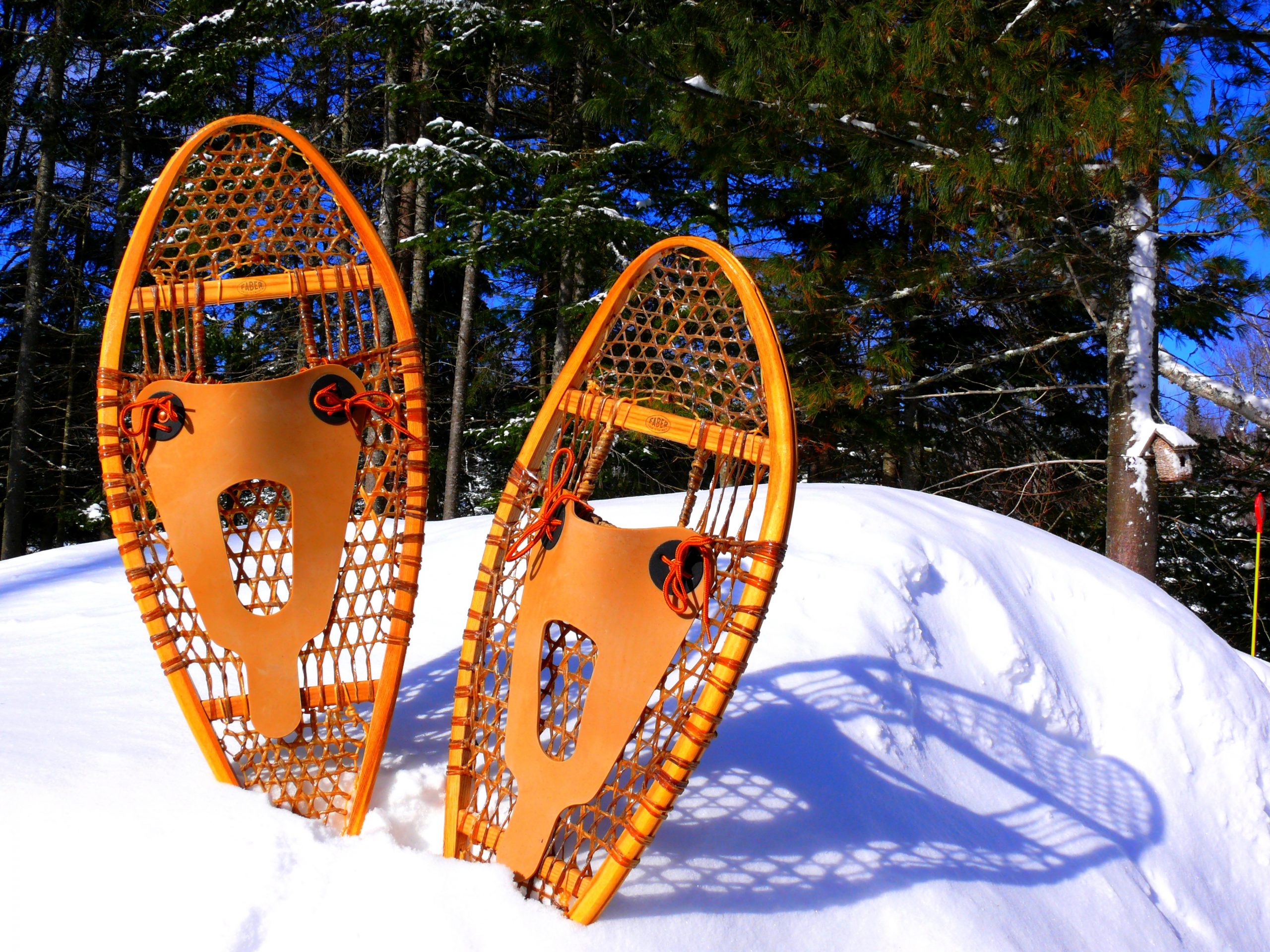 Two wooden snowshoes with leather bindings stand upright in a snowbank, next to Tahoe's pine trees covered in snow.