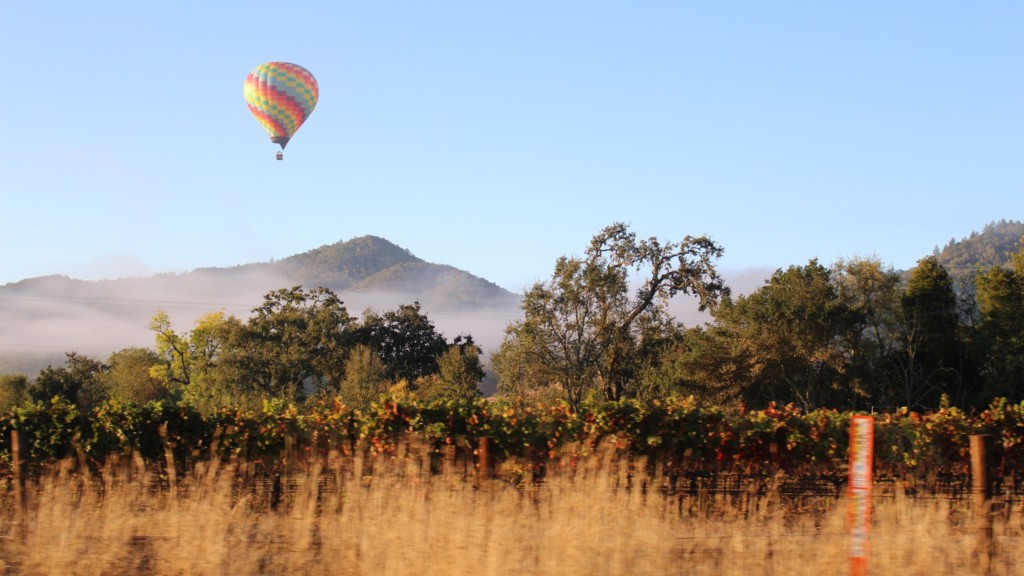 hot air balloon in Napa Valley