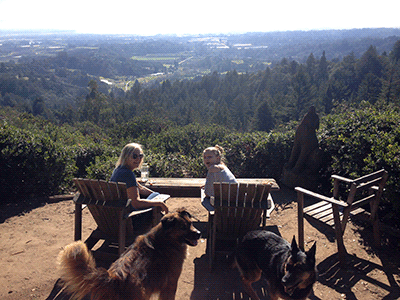 Two people sit on benches in Santa Cruz, gazing out at the lush, expansive landscape. The scene unfolds before them: scenic hills roll gently into a secluded valley below. In the foreground, their two dogs rest contentedly on the grass. Under a clear, sunny sky, the vibrant greenery and tranquil setting offer an idyllic backdrop for this serene moment shared with their canine companions.