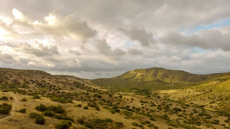 Mission Trails Regional Park.