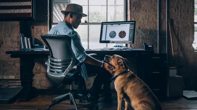 Image from Take your dog to work day! on DogTrekker