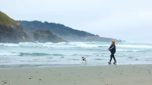 Seaside waves and walks with your dog