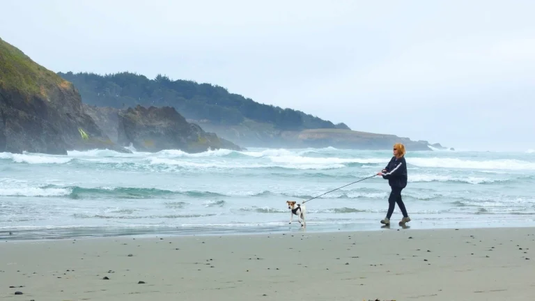 Big River State Beach in Mendocino.