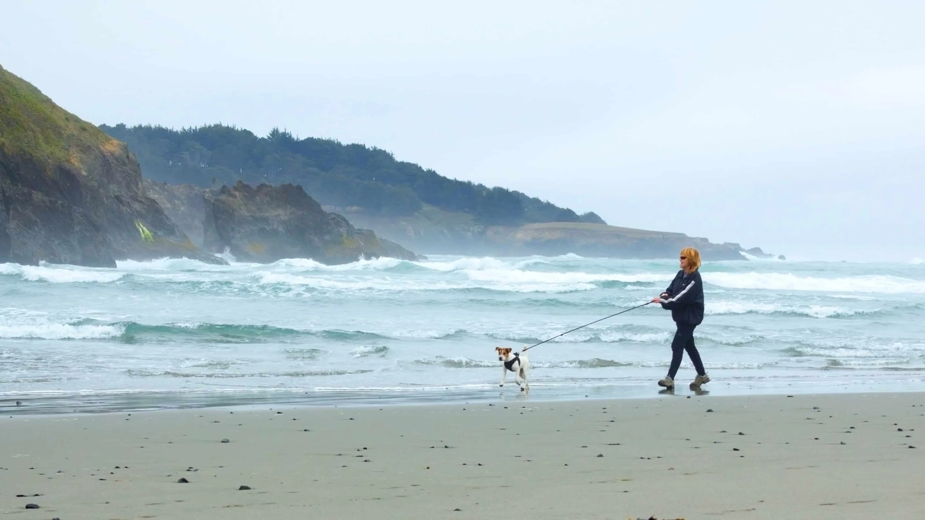 Big River State Beach in Mendocino.