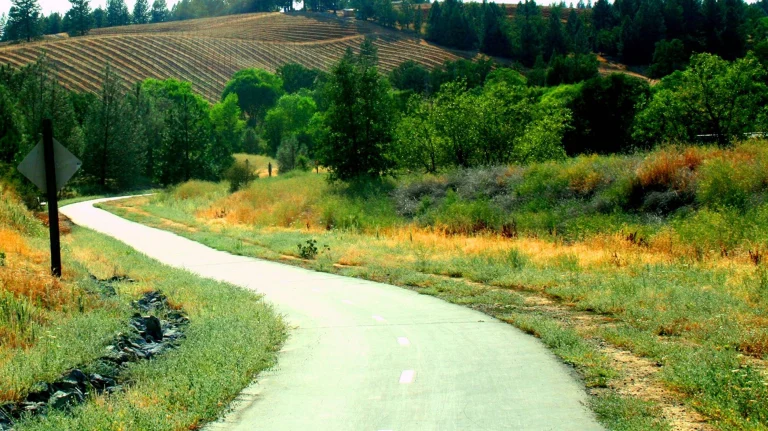 Image from Over hill and dale in El Dorado County on DogTrekker