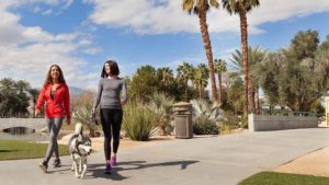 Two vivacious ladies are leisurely strolling with their energetic dog in a vibrant park bathed in sunshine. Majestic palm trees wave gently against the brilliant azure sky, creating a picturesque backdrop for your quality time with man's best friend. - Dogtrekker