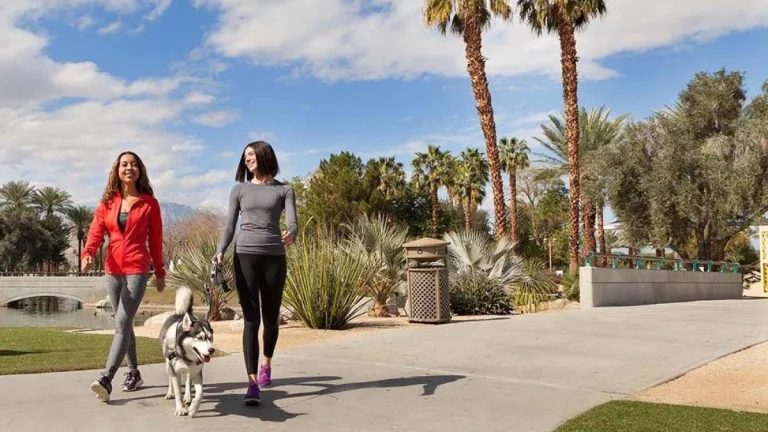 Dog-friendly California destination, photo courtesy of Greater Palm Springs