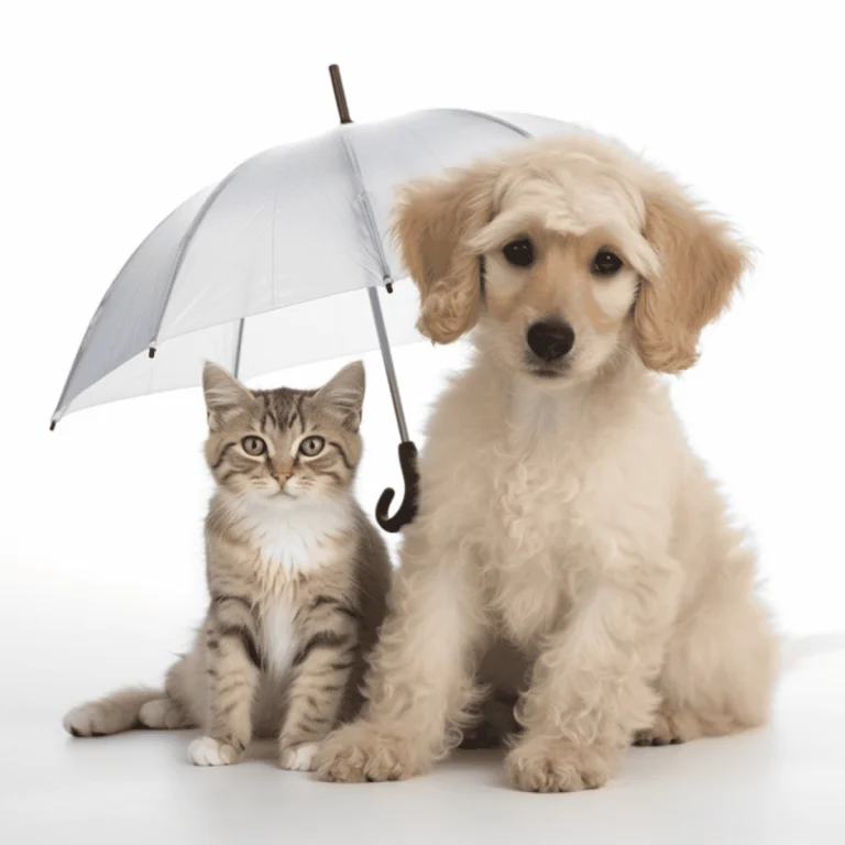 Image from Pet insurance: where do you draw the line? on DogTrekker