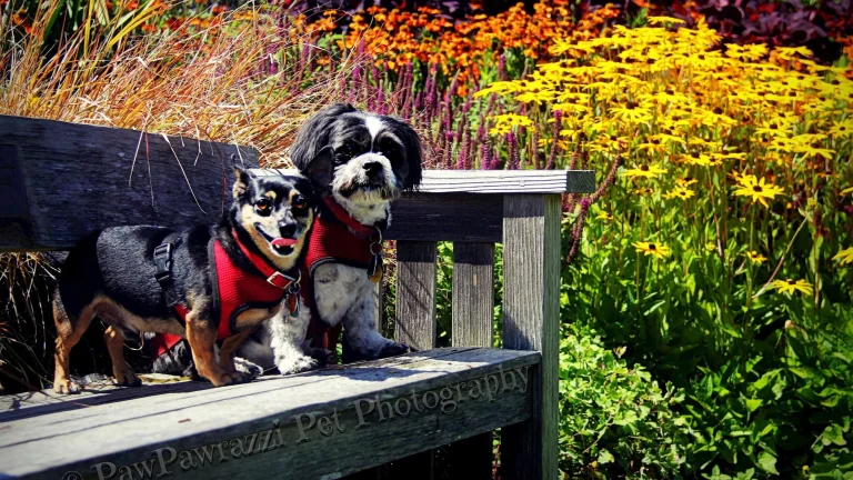 Mendocino Coast Botanical Garden.