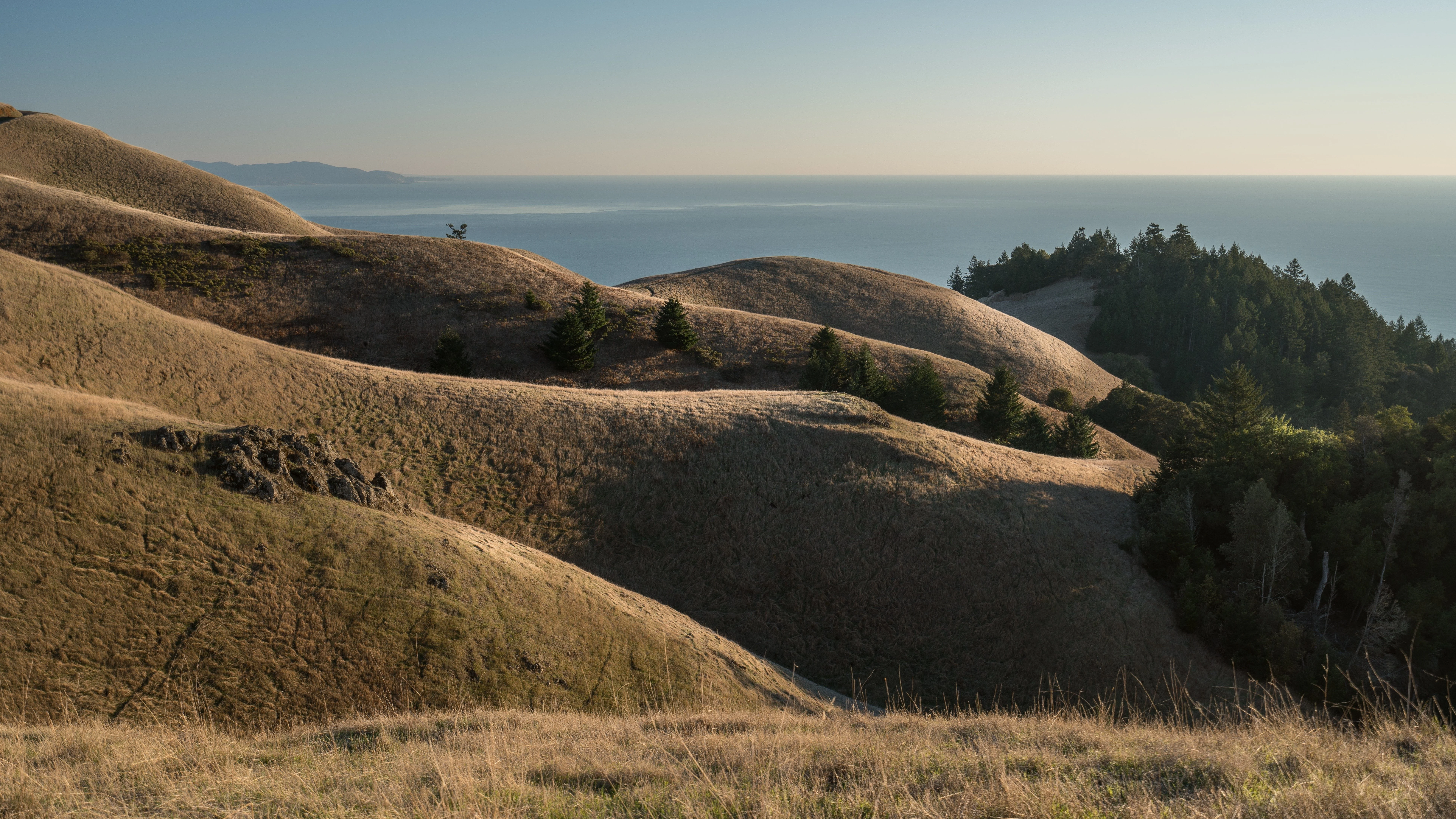 Image from Hike-in breakfast with a view on DogTrekker