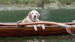Activities for every family member at the Stanford Inn