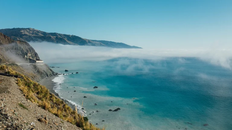 Image from Tails wag on Big Sur Coast on DogTrekker