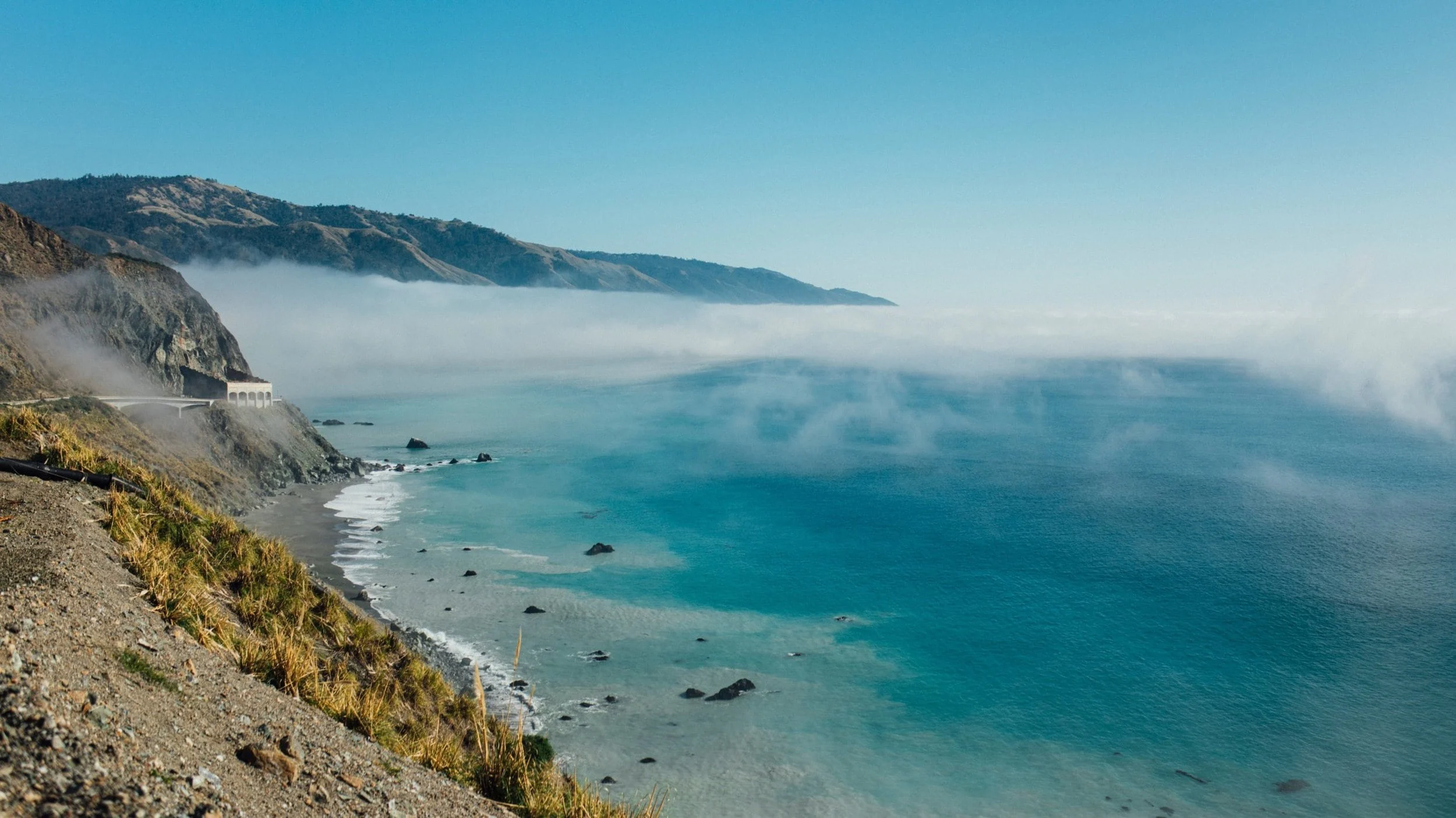 Image from Tails wag on Big Sur Coast on DogTrekker