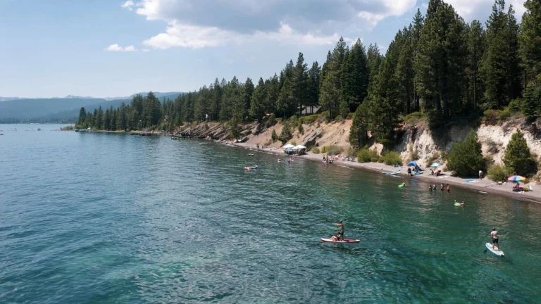Image from Three dog-friendly options in South Shore on DogTrekker