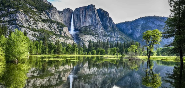Image from Yosemite is positively pawsome for dogs on DogTrekker