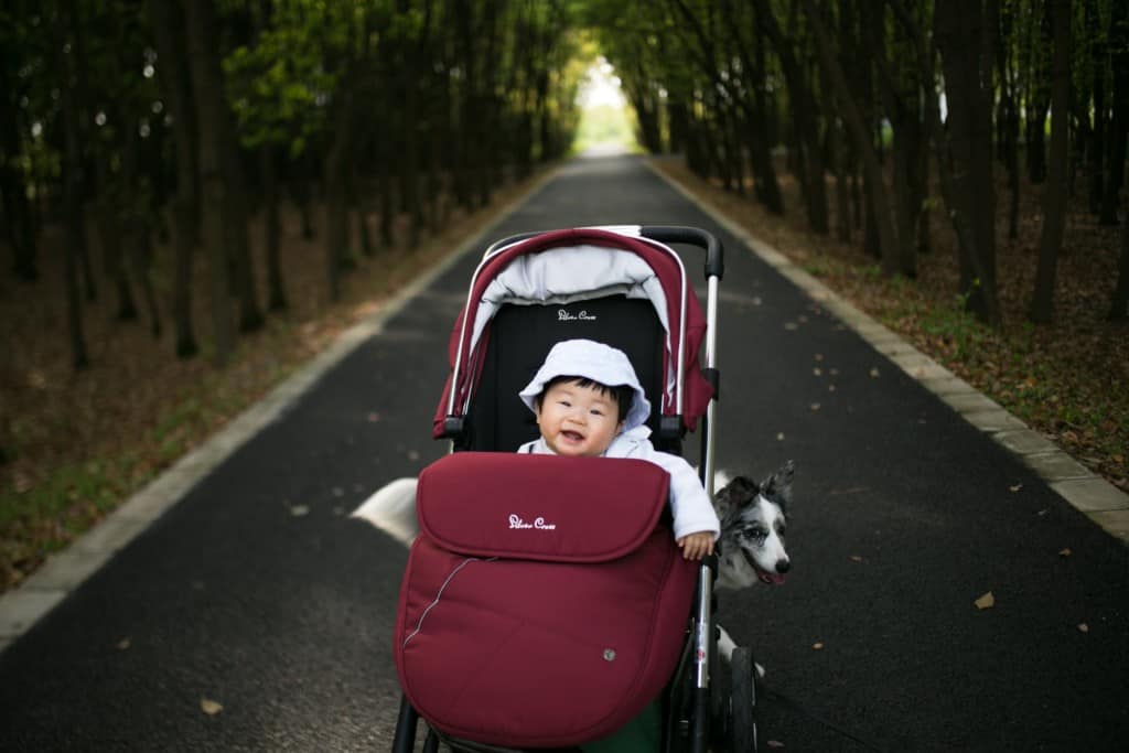 baby in stroller on walking path with dog
