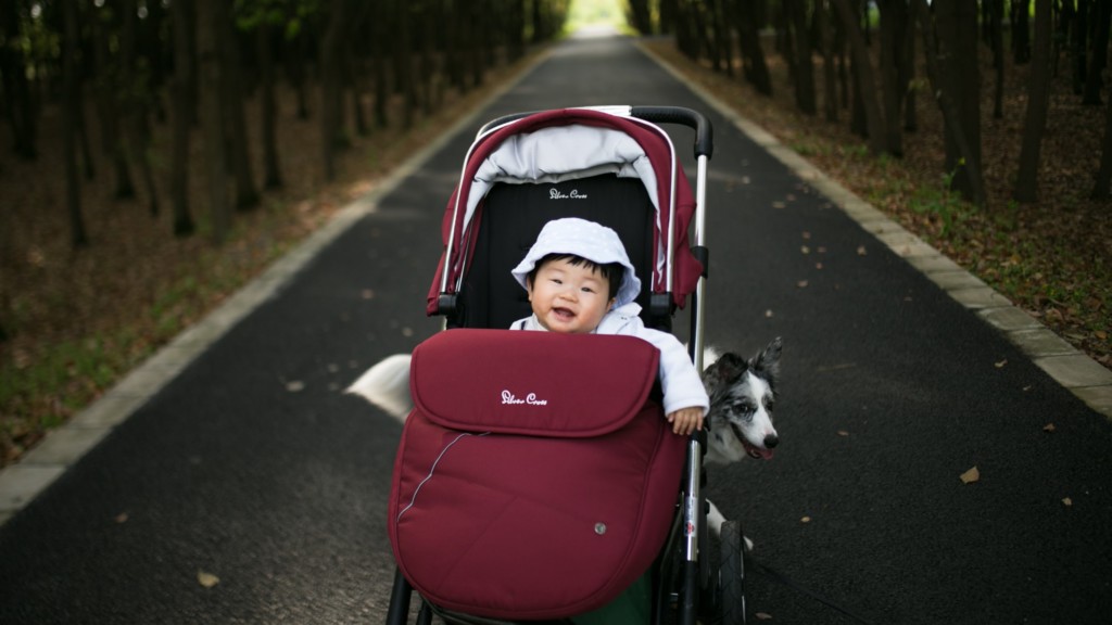 baby in stroller on walking path with dog
