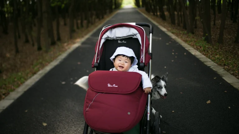 Image from Stroller-friendly hikes for wheels, feet and paws on DogTrekker