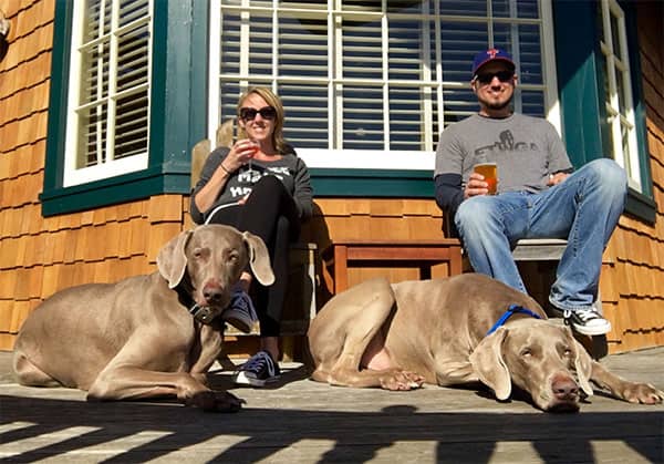 Two dogs join two people in a seaside porch at Nick's Cove.