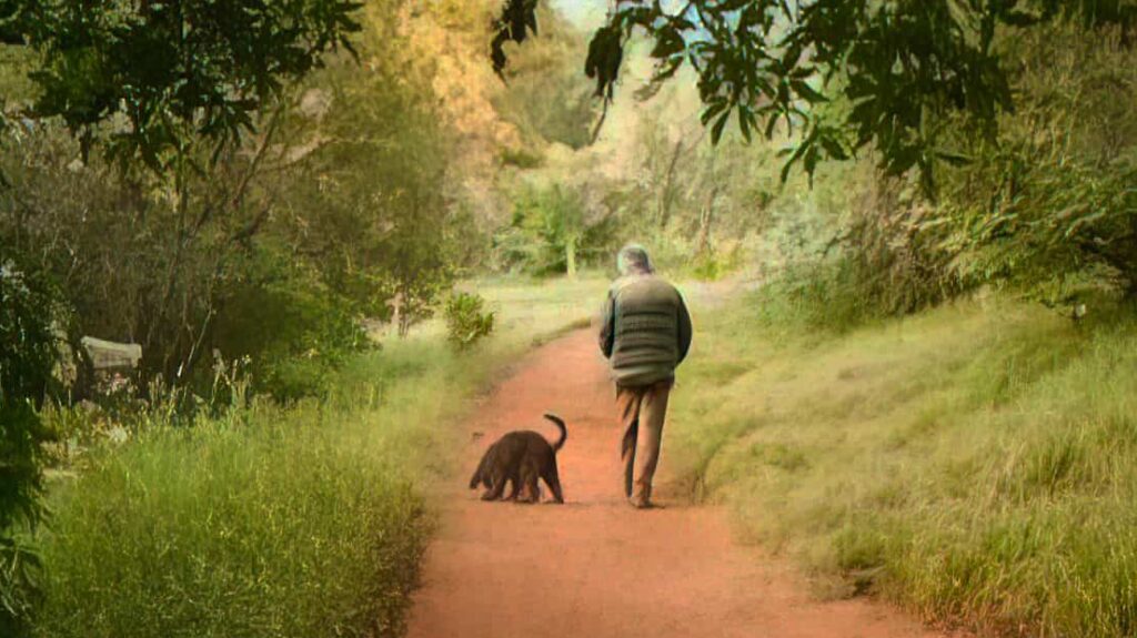 Dog and man on trail