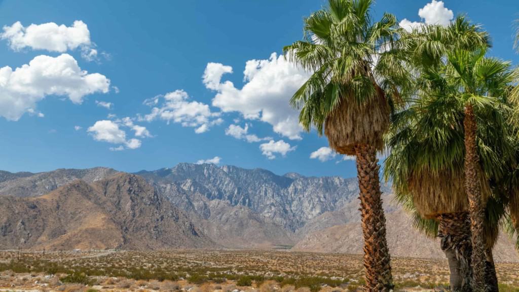 view of desert mountains and palm trees