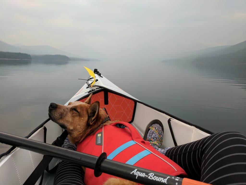 dog wearing life vest asleep in kayak on river with fog