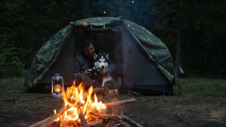 Image from Visit a close-in, dog-friendly campground on DogTrekker