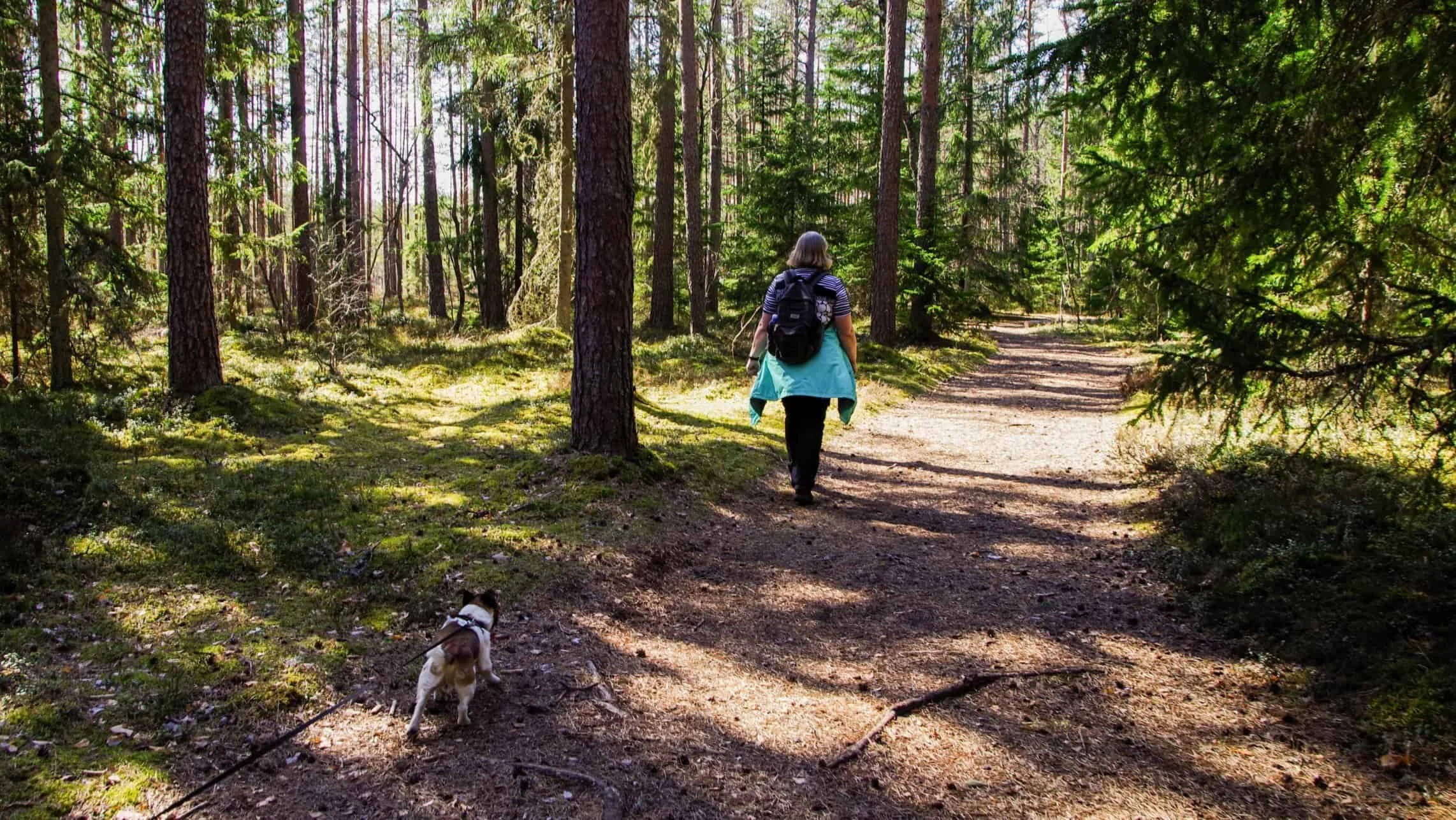 pille-kirsi-1009400