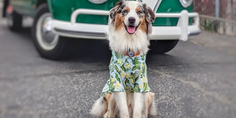 Wilder keeping it super cool in Santa Cruz.