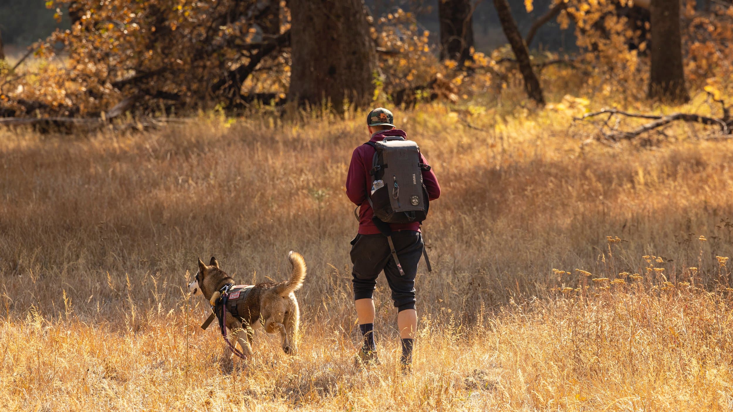 Hiker and German shepherd on trail