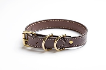 brown leather collar