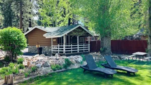 Grey Squirrel Resort