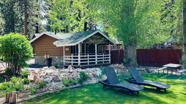 Grey Squirrel Resort — dog-friendly cabins in Big Bear Lake