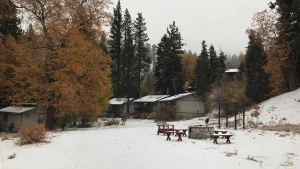 Big Bear Village Cabins