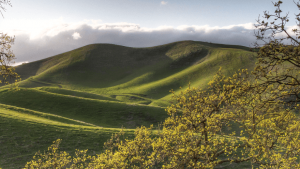 Sycamore Valley Trail