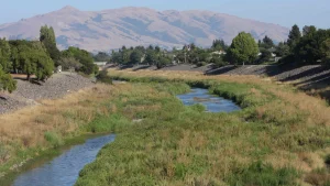 Alameda Creek Regional Trail, a dog-friendly accessible destination in Fremont, California