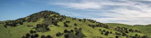 Brushy Creek Regional Preserve