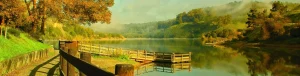 Lake Chabot Regional Park, a dog-friendly hiking trail in Castro Valley, California