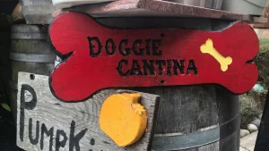 Cameron’s Pub, Restaurant, a dog-friendly restaurant in Half Moon Bay, California