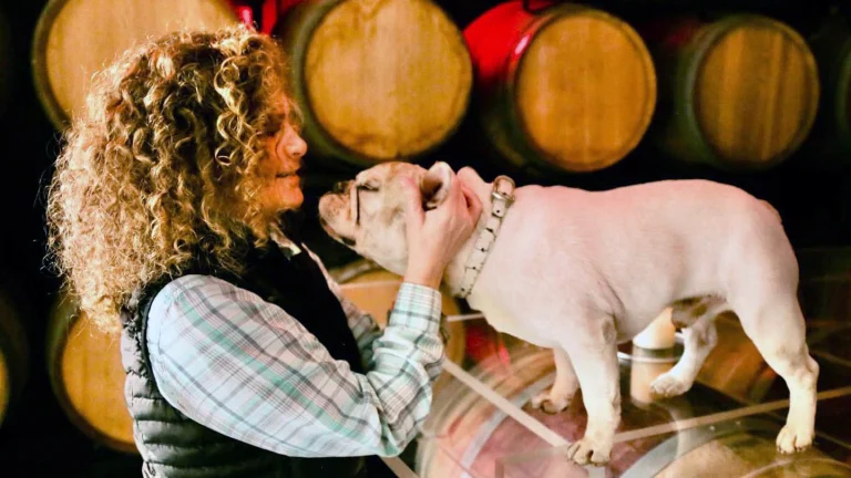Raymond Vineyards