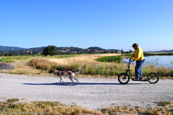 dog and guy on bike
