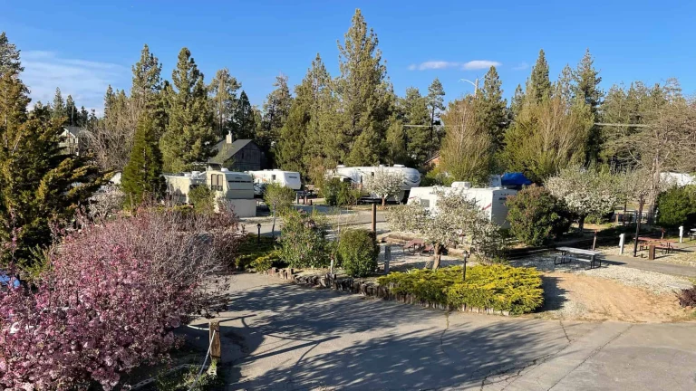 Holloway’s Marina & RV Park