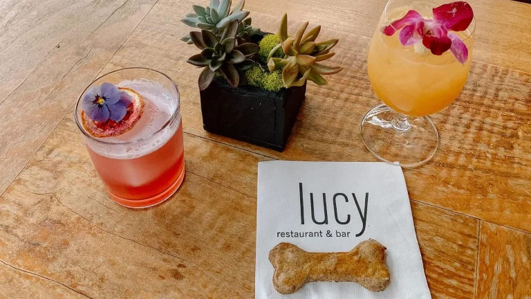 Lucy at Bardessono