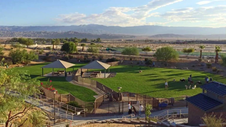 University Dog Park