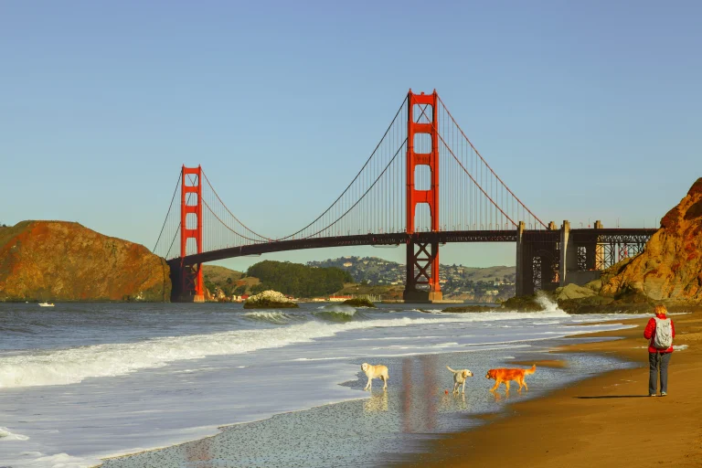 Baker Beach