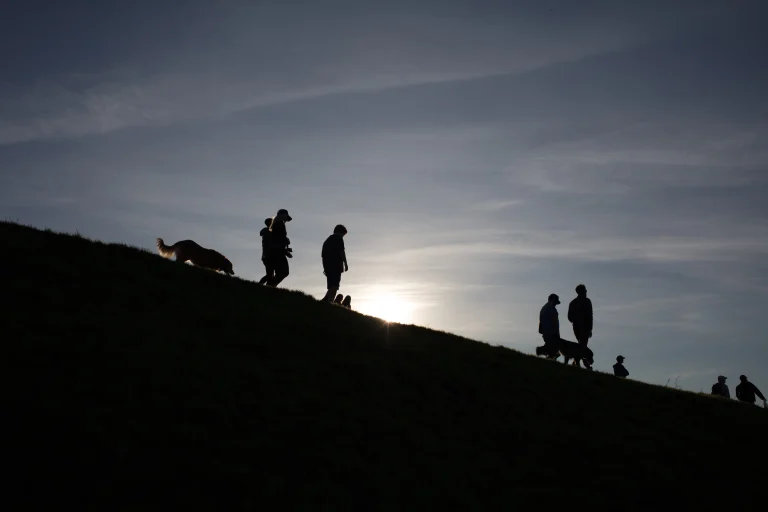 Bernal Heights Park, a dog-friendly hiking trail in San Francisco, California