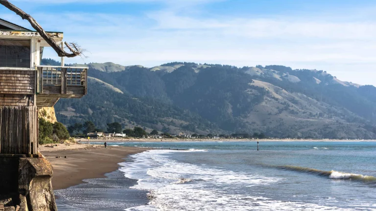 Bolinas Beach