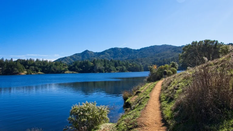 Mount Tamalpais State Park