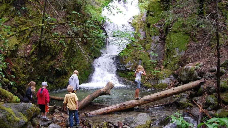 Boulder Creek Falls, a dog-friendly waterfall in Whiskeytown, California