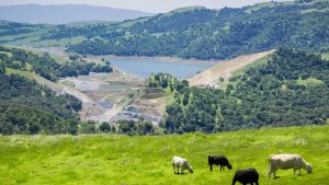 Calaveras Reservoir at Sunol Regional Wilderness